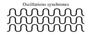 ondes - oscillations synchrones